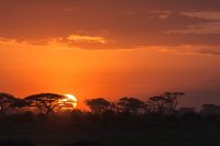 5 redenen om Zuid Afrika te bezoeken